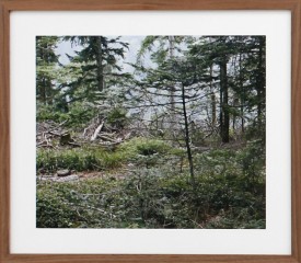 Paula Doepfner detail