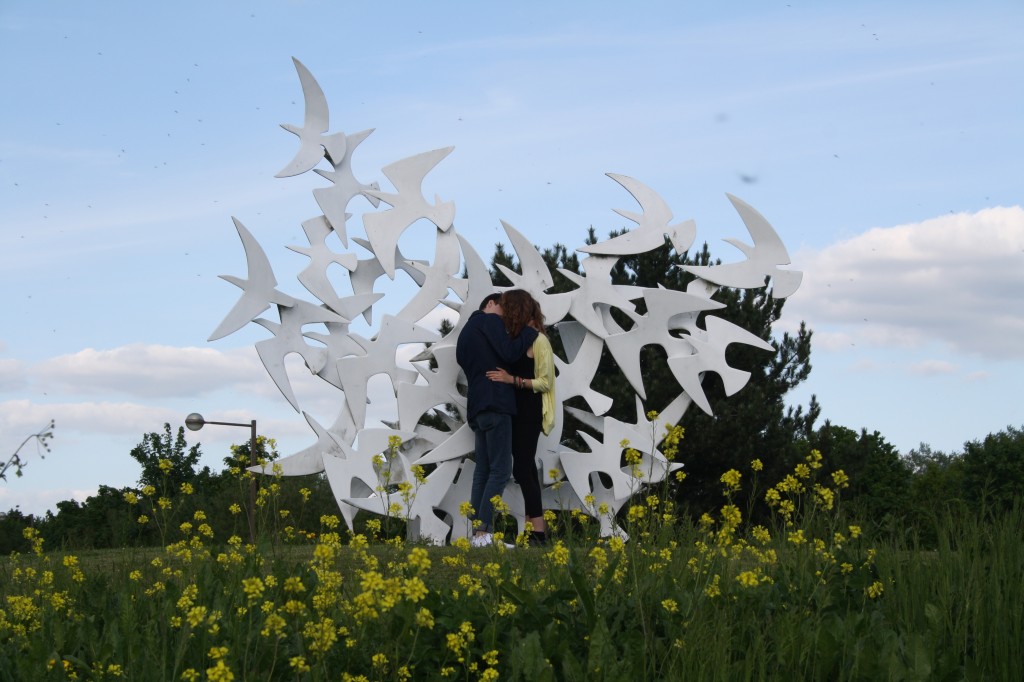 Andy Holden_Towards a Unified Theory of MI!MS_Milton Keynes Kisses_film still_2013